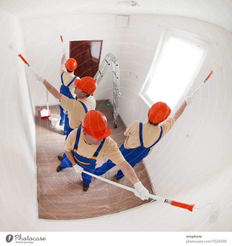 A team of workers painting a small empty room Design House (Residential Structure) Ladder Man Adults 4 Human being T-shirt Gloves Work and employment