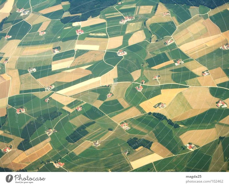 the world from above Aerial photograph Field Meadow Farm Carpet Airplane Bird's-eye view