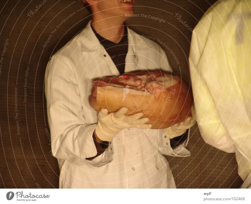 The ham Ham Swine Meat Butcher Accident Highway Suit Smock Coat White Thin Escalope Gloves Gastronomy thw technical relief Protection Fat rind