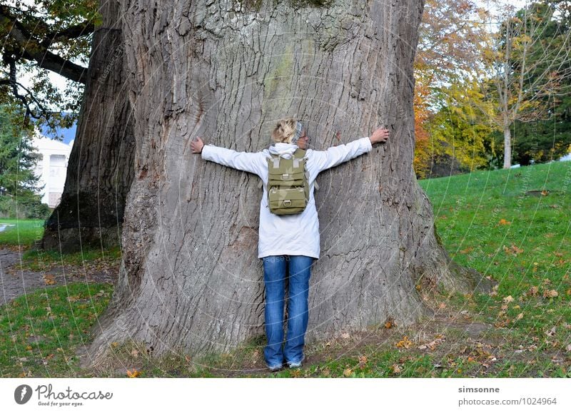 A woman hugs an ancient tree Environment Nature Plant Elements Old Embrace natural Blue Colour photo Day