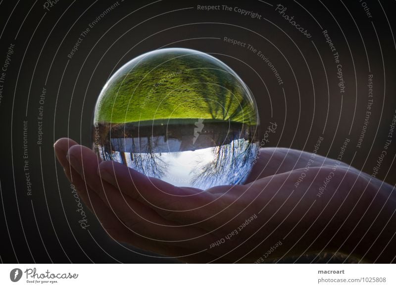 Transparent World Glass ball Nature Grass Meadow Earth Crystal Ball Natural Reflection Mirror image Hand To hold on Man Sky Tree