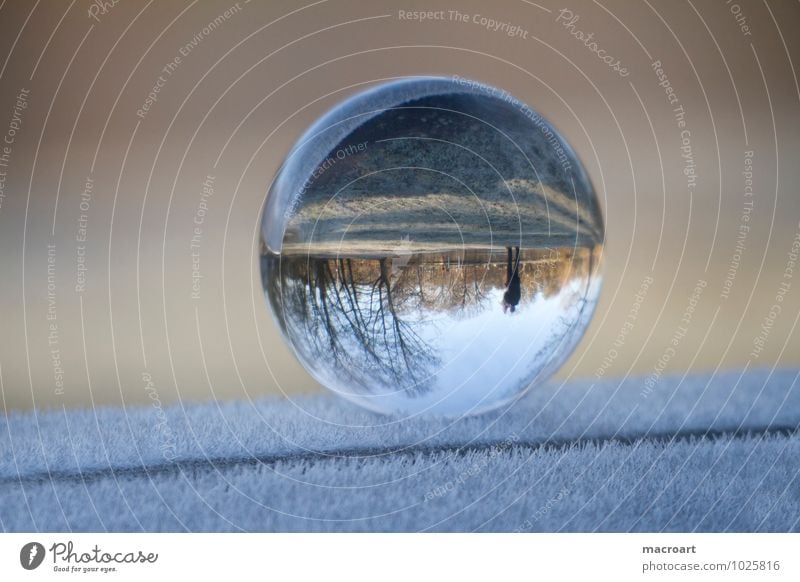 Transparent World Winter Nature Earth Grass Meadow Glass Water Freeze Cold Blue Calm Far-off places Glass ball Ice Snow Frost Ice crystal Frozen Crystal Ball