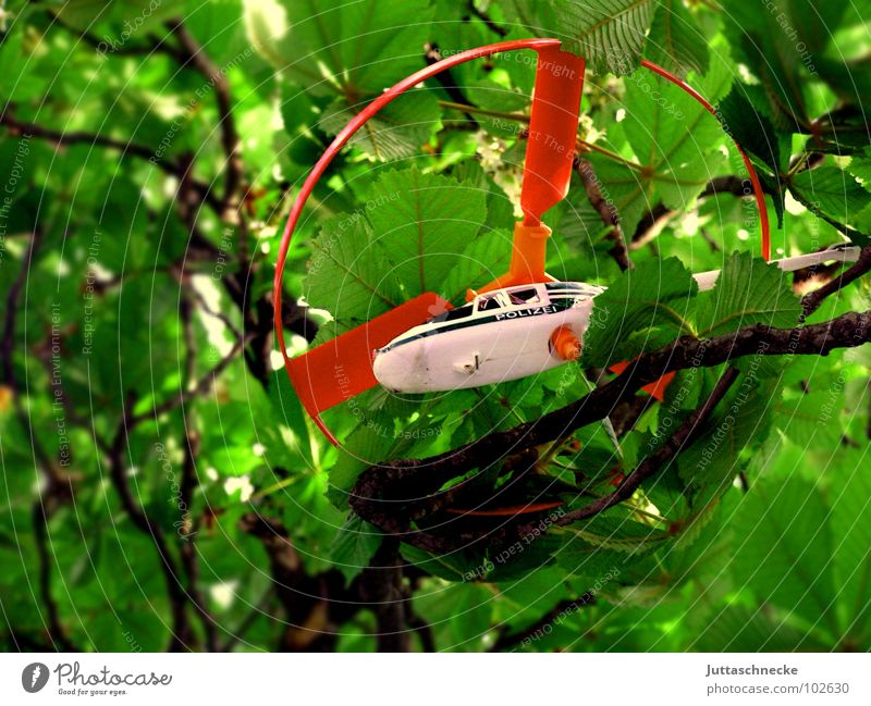 captive Helicopter Playing Toys Red White Green Tree Leaf Captured Air Disaster Aviation toy policy Branch Twig trees branches leaves entangled trapped