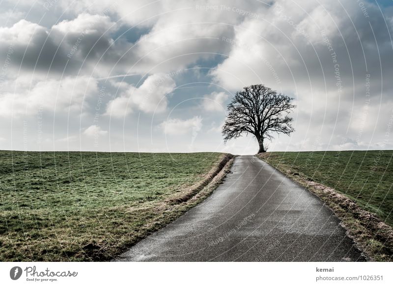horizon Environment Nature Landscape Sky Clouds Sunlight Winter Beautiful weather Ice Frost Tree Field Hill Street Lanes & trails Exceptional Calm Loneliness
