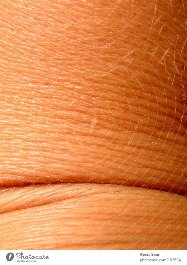 Skin thing. Joint Skin color Dermatologist Anatomy Formulated Macro (Extreme close-up) Close-up Healthy Wrinkles Structures and shapes Dislocate luxation