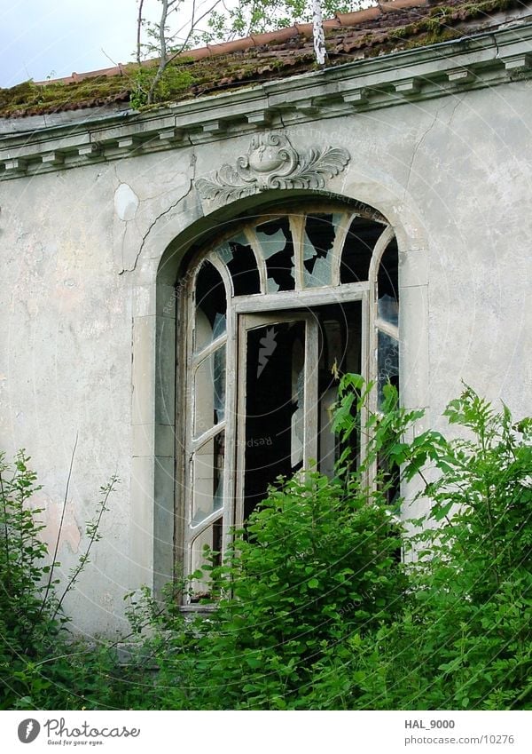 Abandoned drinking hall Architecture Art nouveau Door Window Derelict grow together