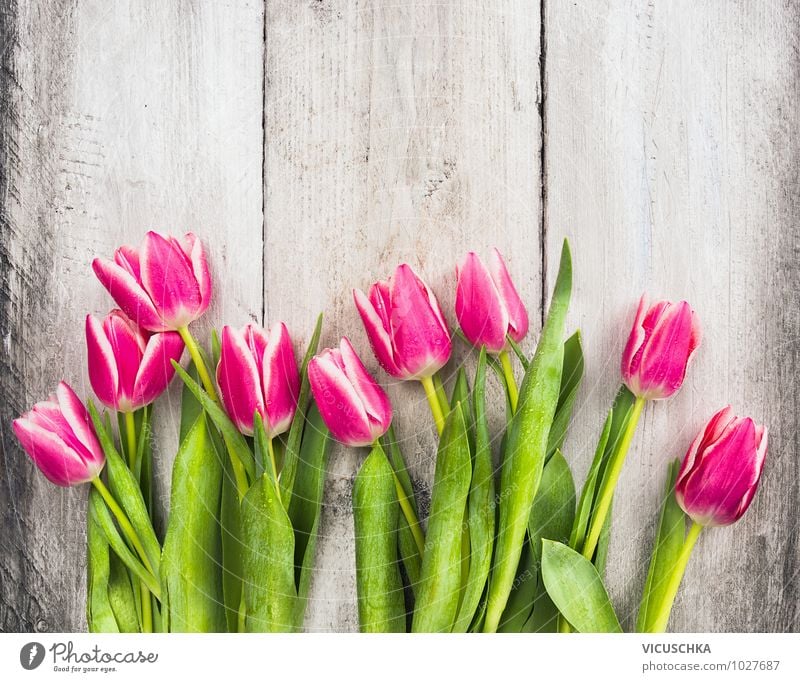 Pink tulips on wooden table Style Design Garden Interior design Decoration Feasts & Celebrations Valentine's Day Mother's Day Birthday Nature Plant Spring Tulip