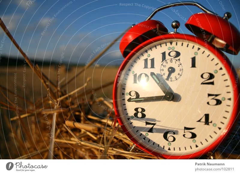 Harvest time I Alarm clock Time Clock Red Field Straw Bale of straw Transience Depth of field Blur Harmonious Digits and numbers Sky