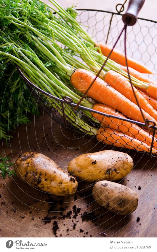 Garden vegetables 3 Food Vegetable Eating Organic produce Vegetarian diet Diet Healthy Healthy Eating Earth Fresh Delicious Natural Carrot Potatoes Wooden table
