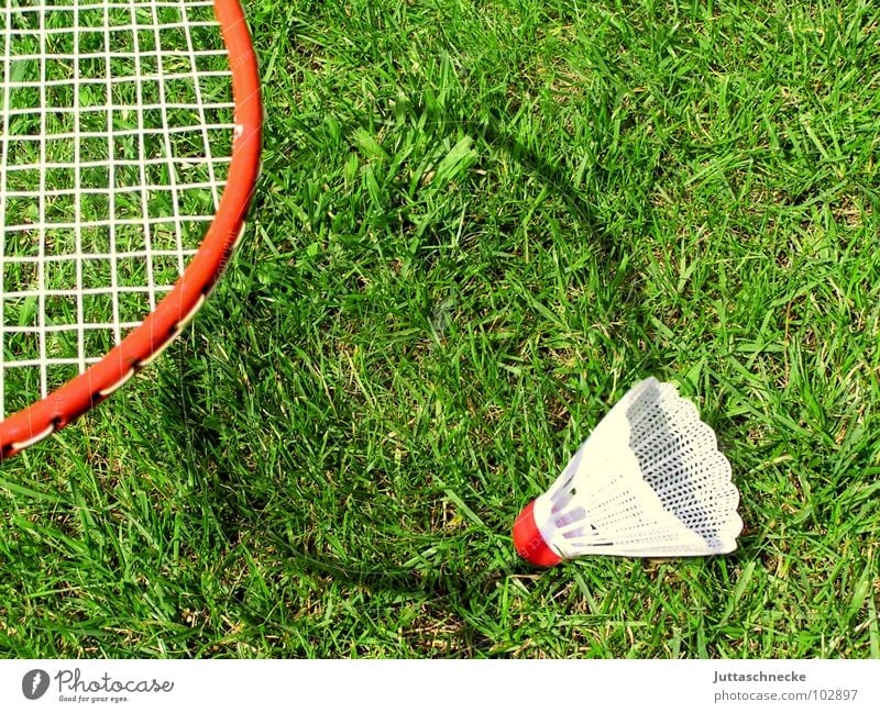 shadow play Shadow play Playing Toys Badminton Grass Sports Exterior shot Lining Leisure and hobbies Shuttlecock
