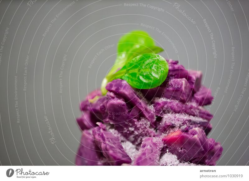 Apple red cabbage with salad Food Red cabbage Lamb's lettuce Nutrition Vegetarian diet Diet Slow food Healthy Eating Ice Frost Leaf Mountain Peak Freeze Cold