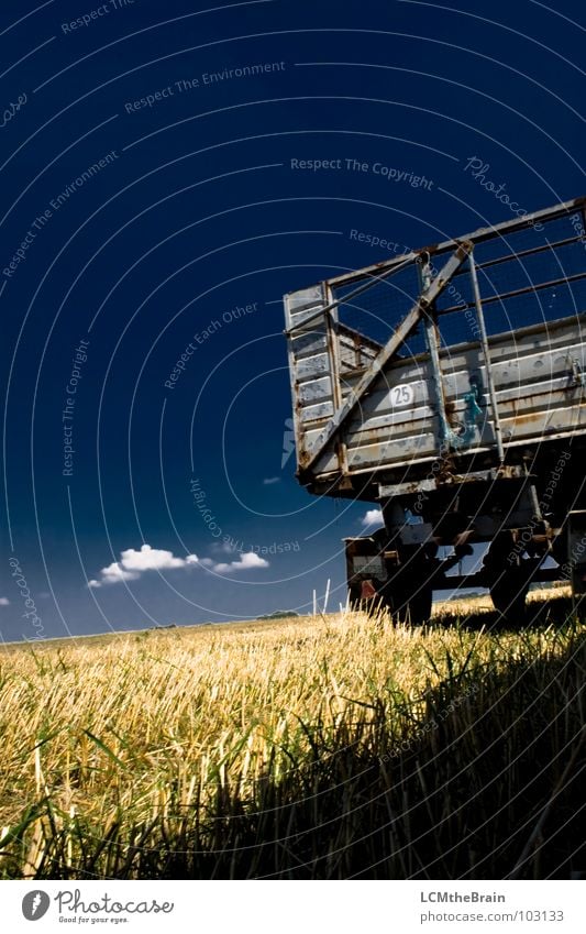 hay wagon Summer Straw Grass Field Blue Yellow Agriculture Clouds Exterior shot Calm Nature Sky Landscape Harvest Trailer Copy Space top Blue sky
