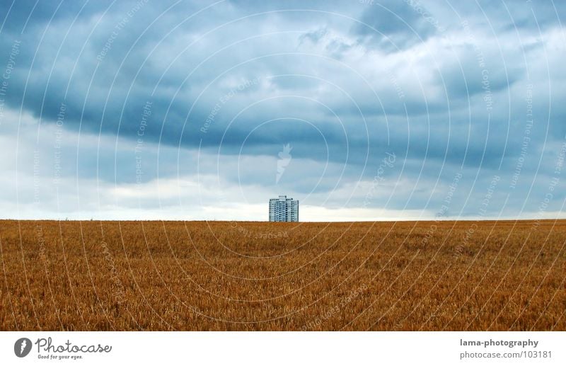 Lonely Giant III Harvest Wheat Ear of corn Field Cornfield Barley Agriculture Farm Autumn Footpath Meadow Rut Rural Storm Clouds Bad weather Gale Thunder Cold