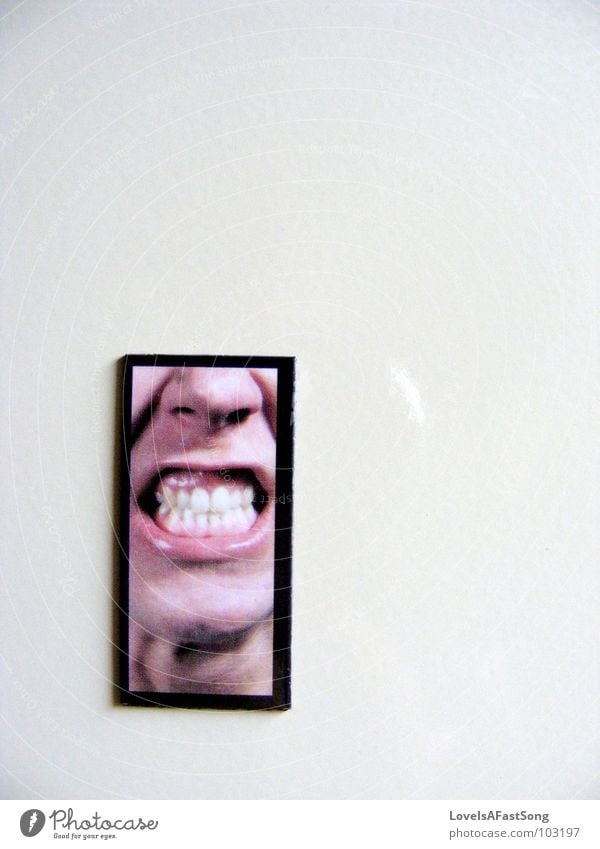 angry Magnet Signage black white frame face teeth Chinese lips nose silly picture