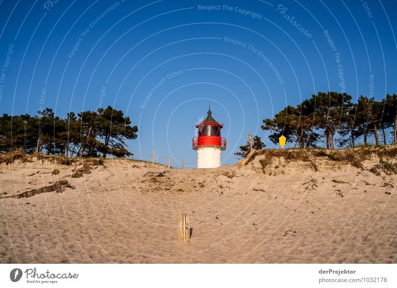 Small, but fine: Lighthouse at Hiddensee Vacation & Travel Tourism Trip Adventure Far-off places Freedom Ocean Island Waves Environment Nature Landscape Plant
