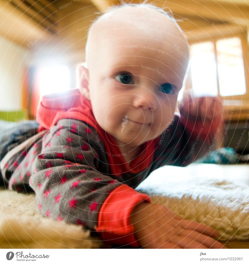 detect sb./sth. Contentment Living room Movement Child Study Human being Baby Toddler Infancy 1 0 - 12 months Sweater Observe Fitness Crawl Smiling Looking