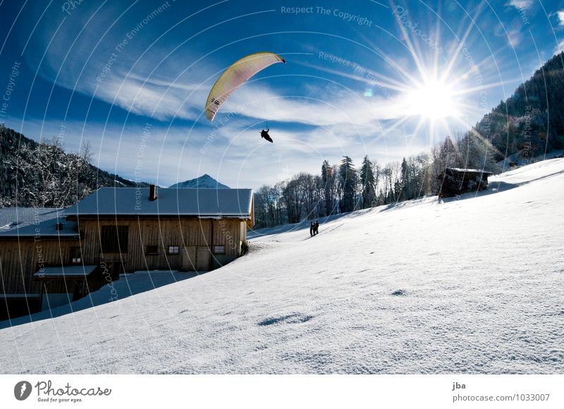 landing approach Lifestyle Contentment Leisure and hobbies Trip Freedom Winter Snow Mountain Sports Paragliding Paraglider Sporting Complex Nature Landscape
