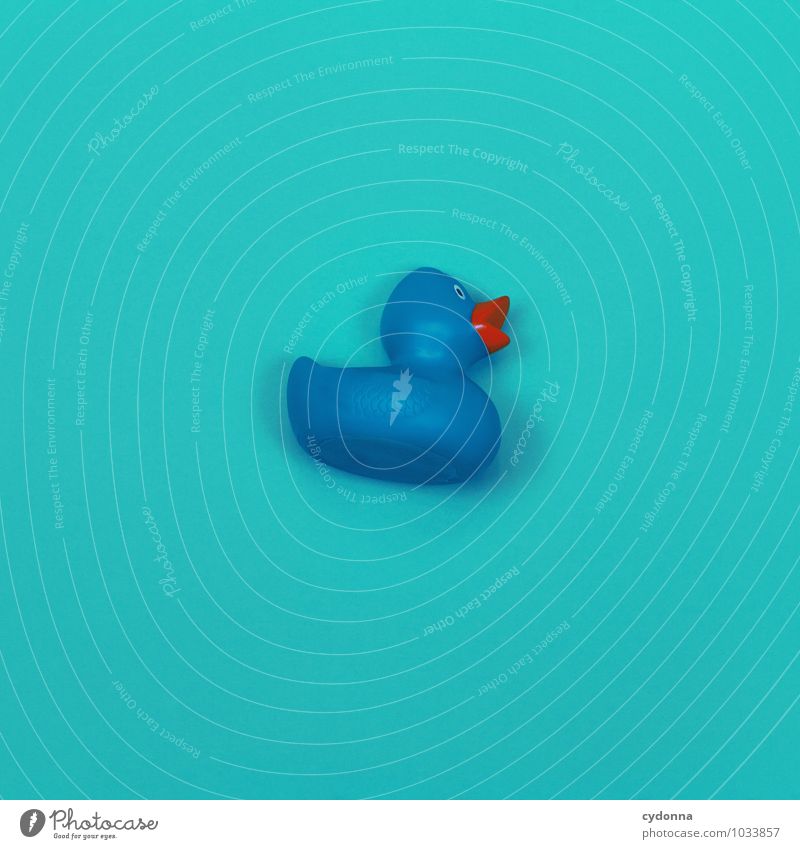 squeaky duck Personal hygiene Esthetic Advice Design Relaxation Exotic Colour Help Idea Uniqueness Inspiration Kitsch Creativity Life Center point