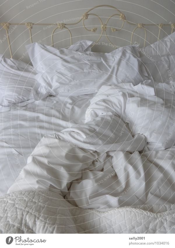 I slept late...? Living or residing Bed Bedroom Relaxation To enjoy Lie Sleep Authentic White Calm Break Dream Empty Bedclothes Cushion Duvet Deserted Arise
