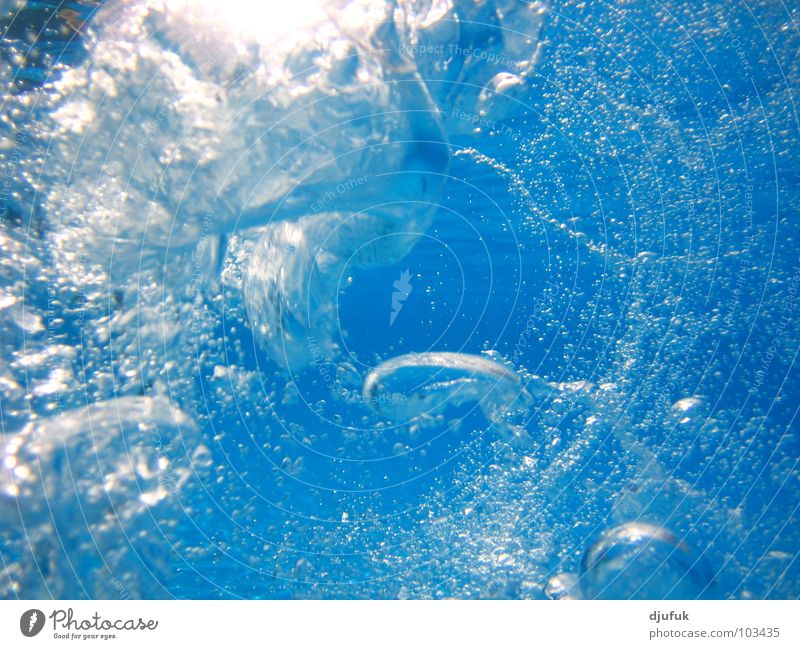 ocean overdrive Dive Ocean Landscape format Depth of field Water Blow Underwater photo Blue Clarity
