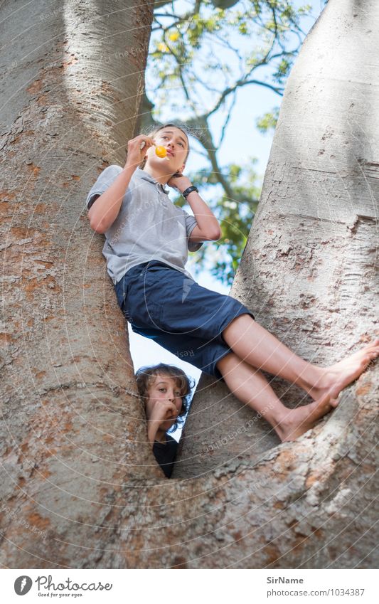 Two teenagers climbing in a tree Ice cream Trip Boy (child) Young man Youth (Young adults) Brothers and sisters Infancy 2 Human being 8 - 13 years Child