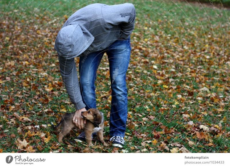 small and large Man Adults 1 Human being Pet Dog Baby animal Touch Together Small Cute Safety Protection Safety (feeling of) Agreed Love of animals