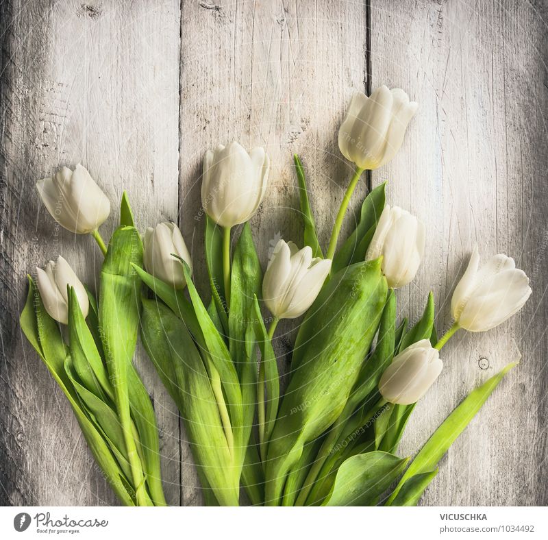 White tulips on the wooden table Lifestyle Style Design Garden Interior design Decoration Feasts & Celebrations Valentine's Day Mother's Day Birthday Plant