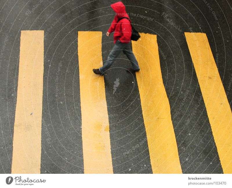 to the old grandmother Zebra crossing Pedestrian Yellow Asphalt Transport Town Going Traverse Concreted Tar Stripe Wet Rain Red Hooded (clothing) Bag