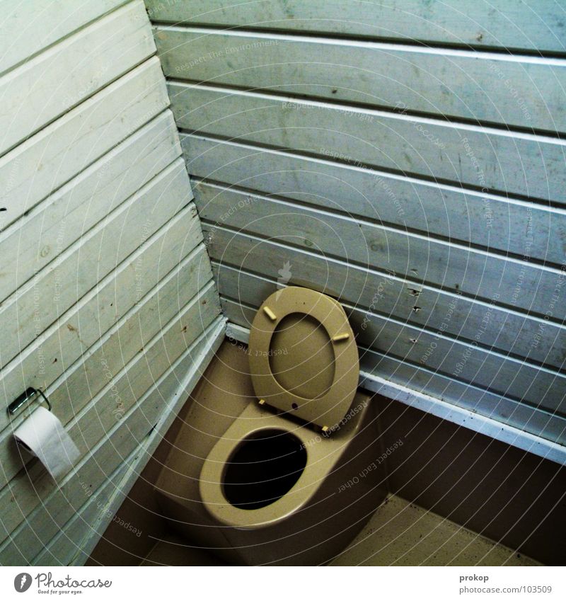 Throne in corner Latrine Shed Wood Toilet paper Tumbledown Geometry Hut Shabby Line Interior shot Toilet seat Deserted Corner Simple Open Wooden wall