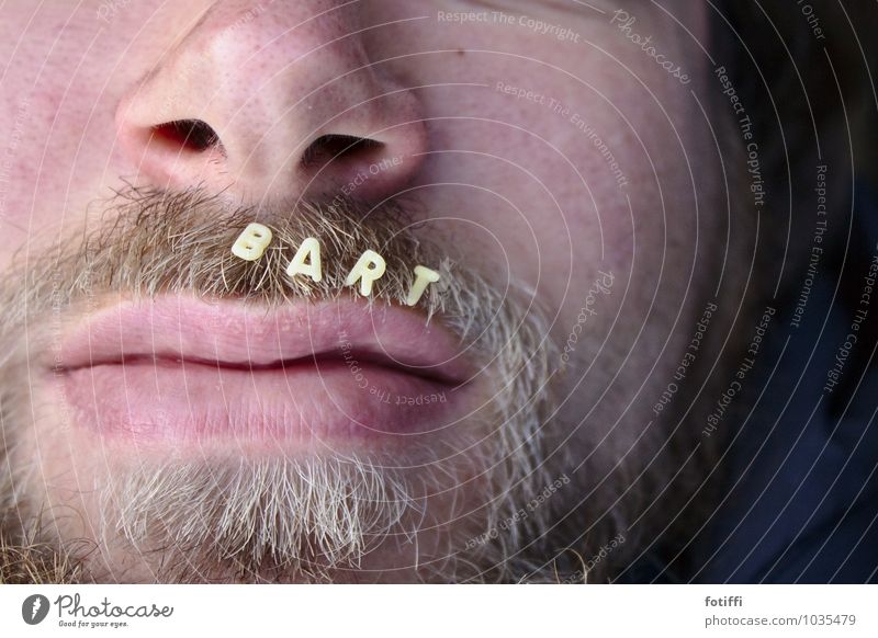 beard Masculine Lips Facial hair 1 Human being 13 - 18 years Youth (Young adults) Blonde Beard Friendliness Contentment Joie de vivre (Vitality)