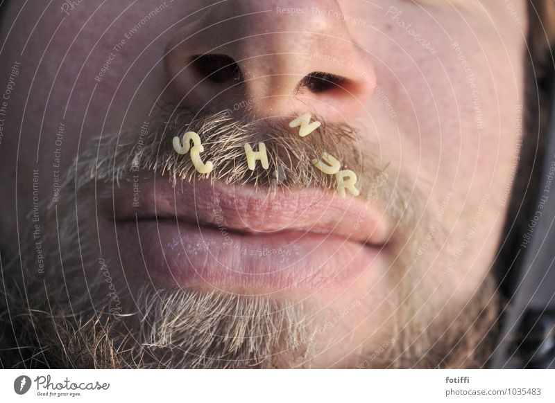 Man carries S c h n u r r b a r t Close-up Lips Masculine Mouth Face Human being Facial hair Nose Pelt Characters Alphabet noodles Letters (alphabet) spell