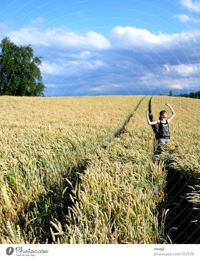 fortunate Field Cornfield Wheatfield Woman Bad weather Peace Happiness Summer Spring Physics Contentment Free Hand Air Human being Concentrate Stand Touch Jump