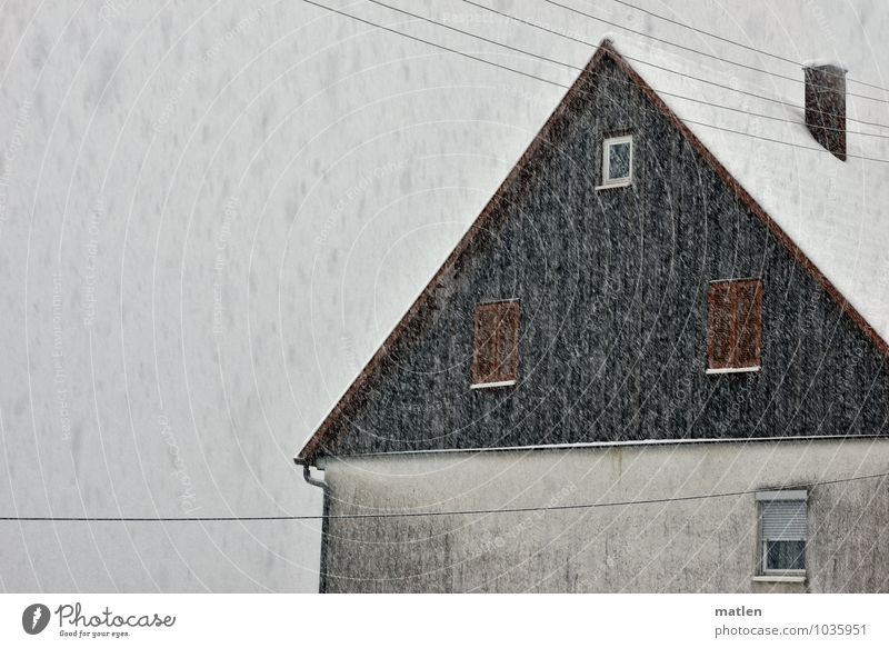Sheep cold Village Deserted House (Residential Structure) Wall (barrier) Wall (building) Facade Window Roof Chimney Dark Brown Gray White Snowfall