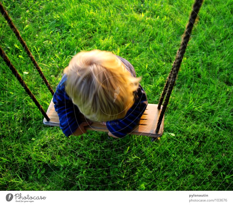 taken for a ride Child Blonde Sweater Swing Wooden board Playground Leisure and hobbies Playing Tree Meadow Green Summer Hang Gymnastics Hand Toddler Blue Rope