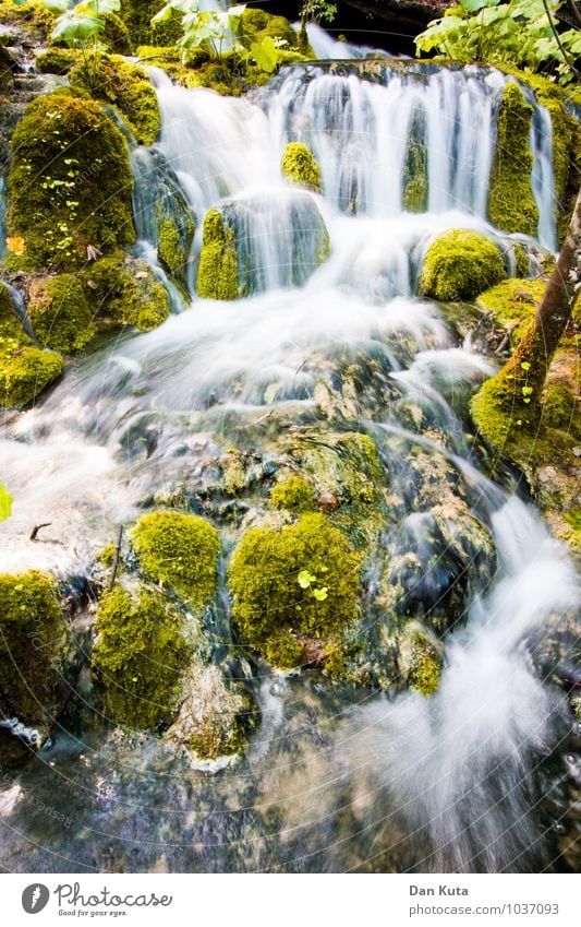 Always liquid Nature Water Moss Forest Brook Waterfall Plitvice Lakes Famousness Flow Long exposure Green Smooth Soft Eternity freeze Vaulting Colour photo