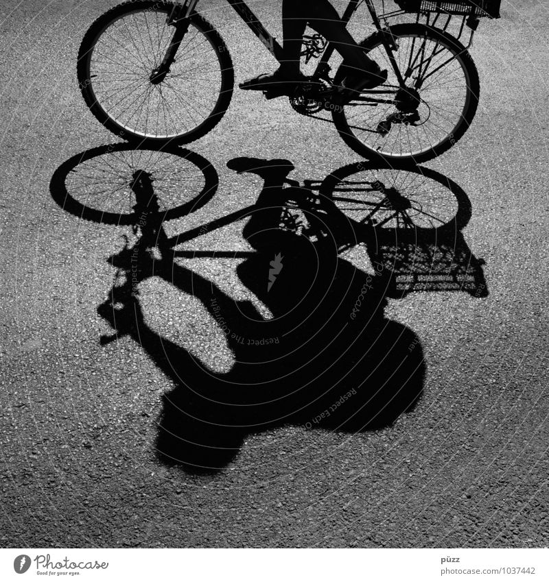 shadow man Bicycle Human being Body 1 Transport Means of transport Cycling Street Movement Wheel Asphalt Summer Formentera Hot Spokes Legs Chain Cycling tour
