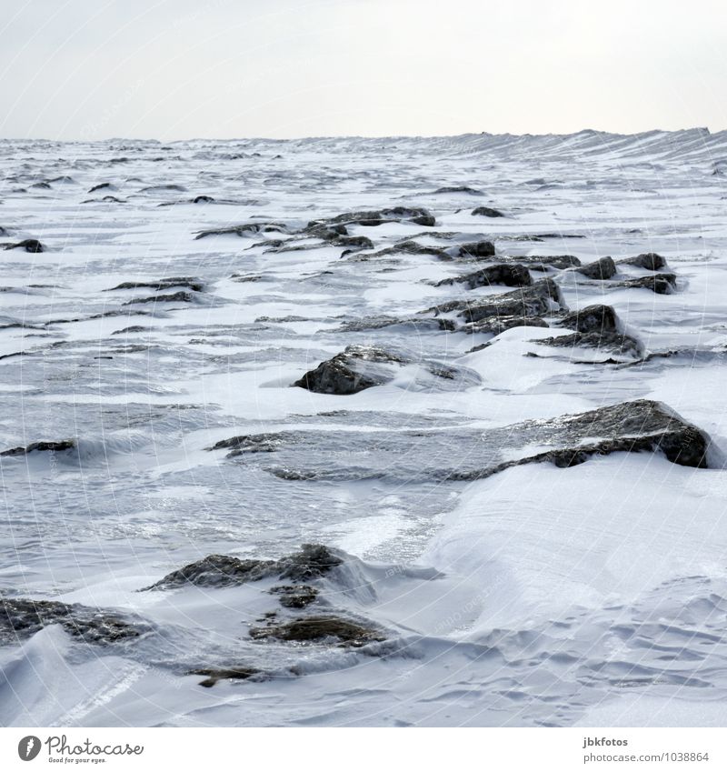North Sea frozen Environment Nature Landscape Elements Air Water Sky Cloudless sky Horizon Winter Beautiful weather Storm Ice Frost Snow Coast Beach Baltic Sea