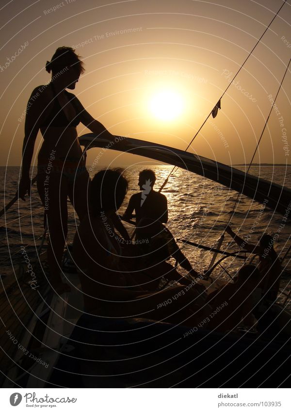 Sail away from the sunset Sailing Sunset Silhouette Ocean Watercraft Physics Croatia Summer Shadow Orange Human being chilly Warmth