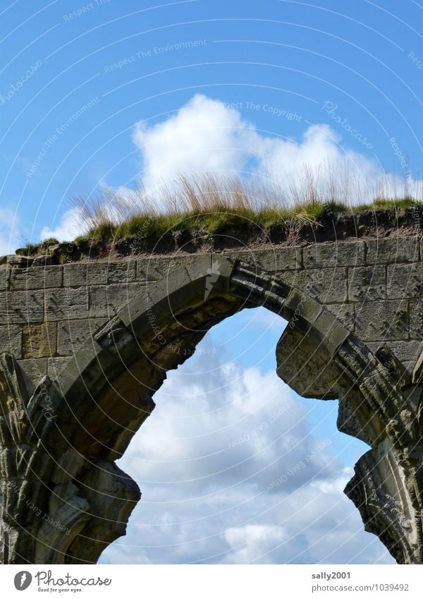 retro, it was once... Clouds Beautiful weather Grass Moss Church Castle Ruin Bridge Manmade structures Wall (barrier) Wall (building) Stone Old Growth