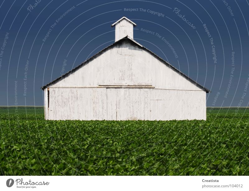 Rural Barn Wood flour Countries Sky Strong Nutrition Farm barn agriculture building crop leaf harvest horizon rural country grow distance whitewash exterior