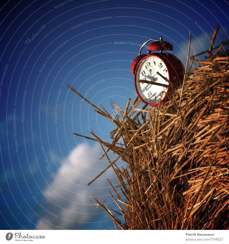 Harvest time IV Alarm clock Clock Tick tock Retro Time Red Straw Bale of straw Insubstantial Clouds Agriculture Rural Sky tick Clock hand temporal Blue Americas