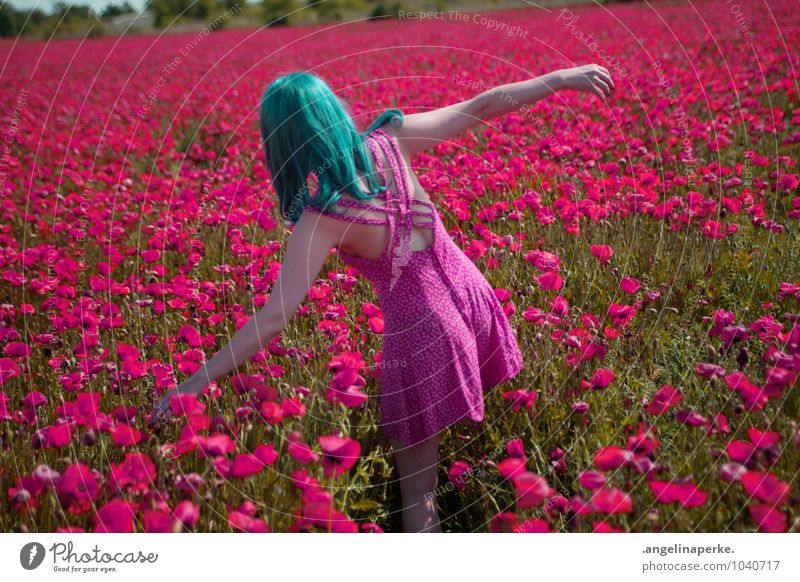 when all of a sudden the world's pink. Poppy Field Meadow Pink sea of blossoms Girl Joy Summer Back Dress Beautiful Wig Valentine's Day