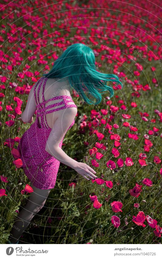 when all of a sudden the world's pink. Poppy Field Meadow Woman Wind Summer Valentine's Day Back Wig