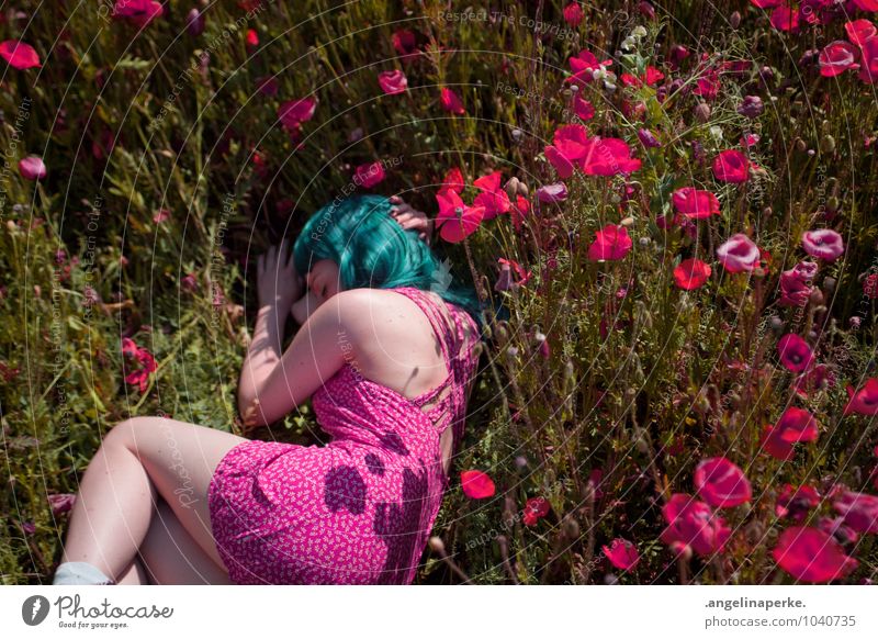 when all of a sudden the world's pink. Meadow Poppy Pink Grass Nature Girl Lie Sleep Dress Valentine's Day Wig Turquoise