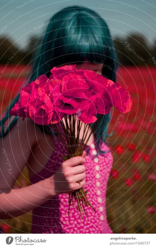 when all of a sudden the world's pink. Poppy Field Bouquet Wig Girl Summer Valentine's Day
