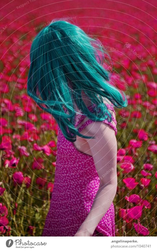 windswept Feminine 1 Human being Spring Summer Beautiful weather Agricultural crop Wild plant Field Dress Friendliness Happiness Fresh Happy Kitsch Positive