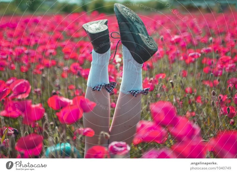 when all of a sudden the world's pink. Poppy Field Meadow Pink Blossom Flower Nature Legs Footwear Bow Joy Exuberance Summer Girl Valentine's Day