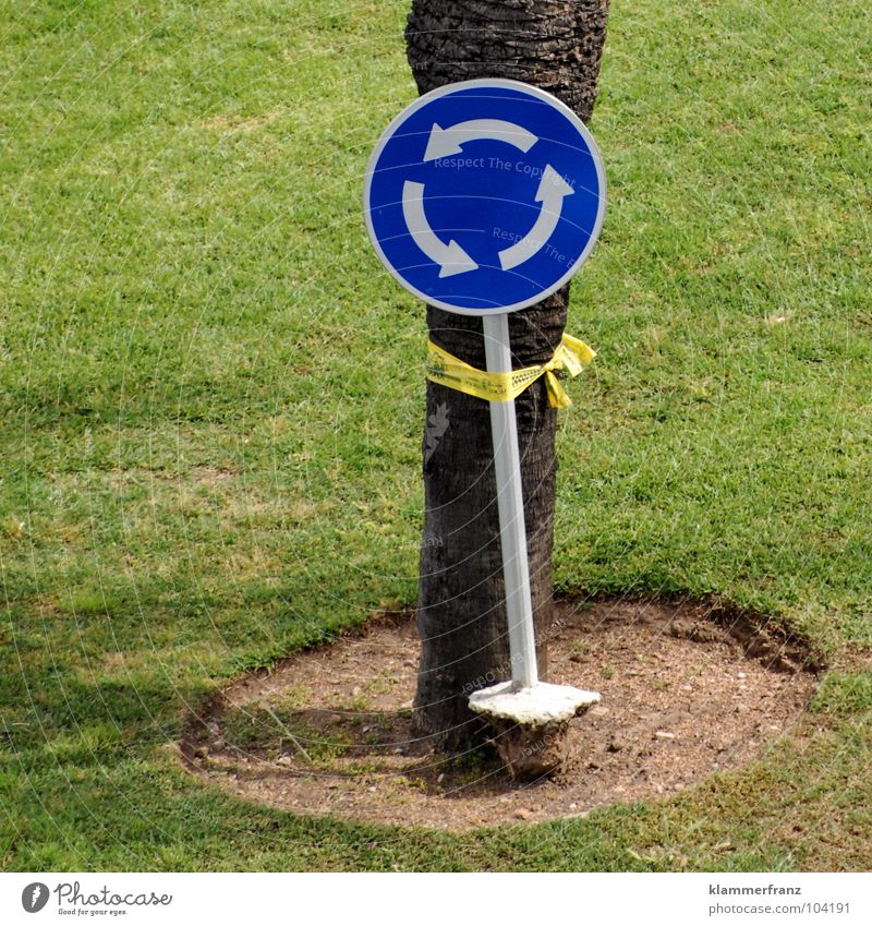 Weird stuff Traffic circle Muddled Majorca Transport Round Meadow Grass Golf course Punk Palm tree Tree To hold on Vertigo Lifeless To break (something) Honest