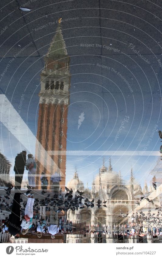 Mirrored World II Venice Basilica San Marco Places Pigeon Inverted Reflection House of worship Traffic infrastructure Italy Water Tower Religion and faith Dome