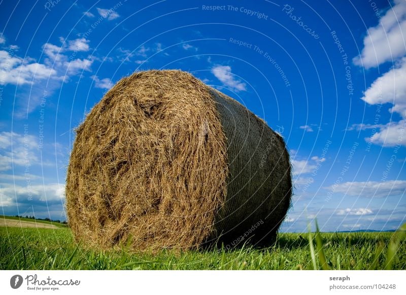 Bale of Straw Hay Bale of straw Hay bale Coil Roll Field Meadow Sky Summer Agriculture Feed forage plant Grass Blade of grass Harvest import Grain Packaged